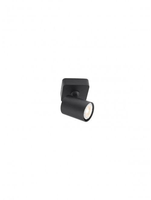 Faretti Cameo
