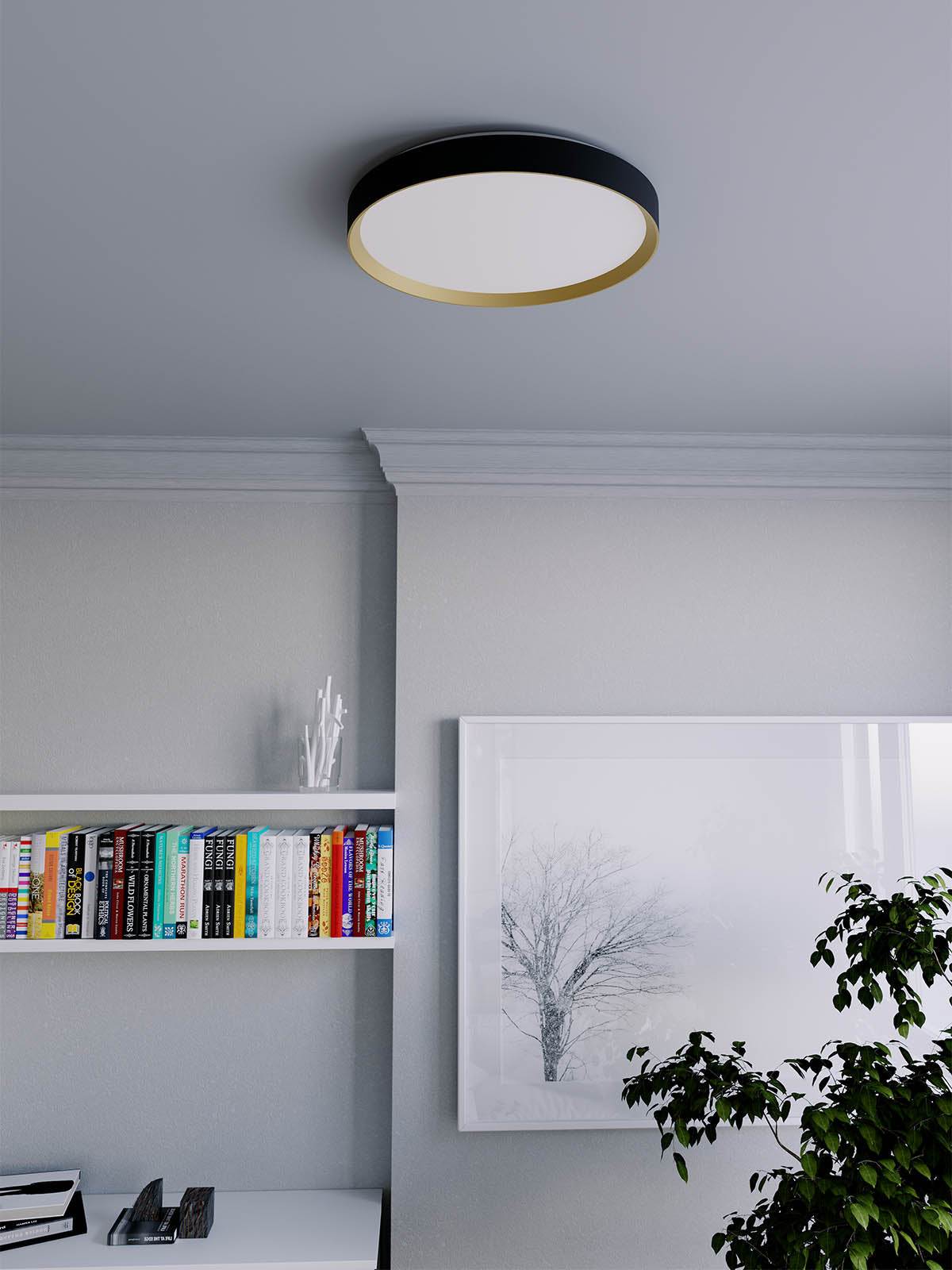 Lampada da Soffitto/Parete Caster